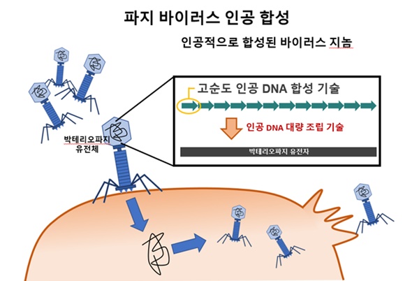 셀레믹스, 서울대와 바이러스 합성 기술이전 계약 체결