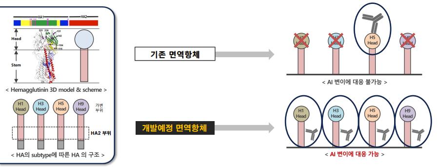 애드바이오텍, 조류인플루엔자 면역 항체 개발 본격화