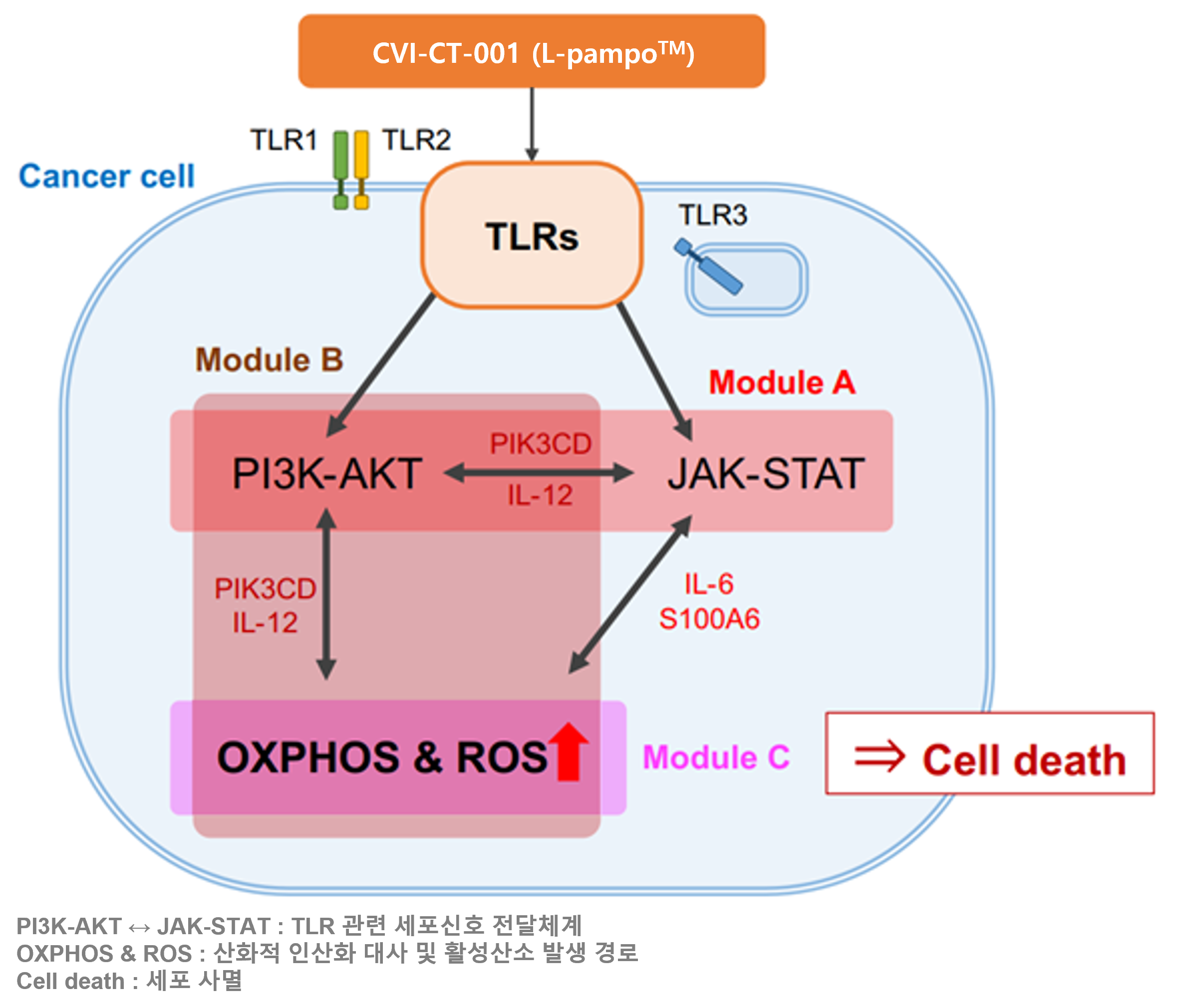 차백신연구소-목암생명과학硏, AI로 후보물질 새로운 항암 기전 규명